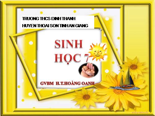 Bài 3. Thực hành: Quan sát một số động vật nguyên sinh