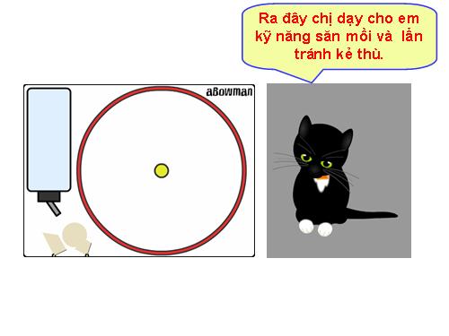 Hình động (PPT): "LÒNG TỐT" CỦA MÈO