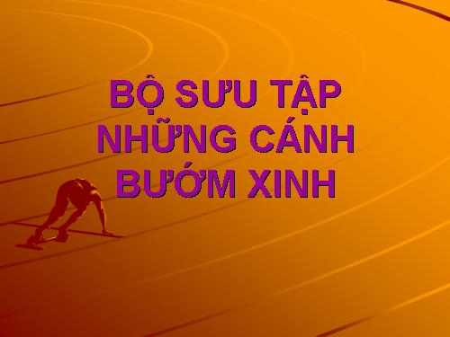 Bo suu tap nhung canh buon xinh