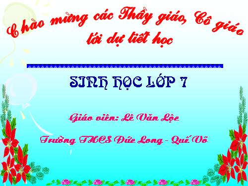 Bài 53. Môi trường sống và sự vận động, di chuyển