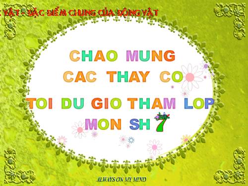 Bài 2. Phân biệt động vật với thực vật. Đặc điểm chung của động vật