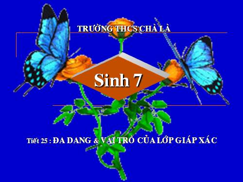 Bài 24. Đa dạng và vai trò của lớp Giáp xác
