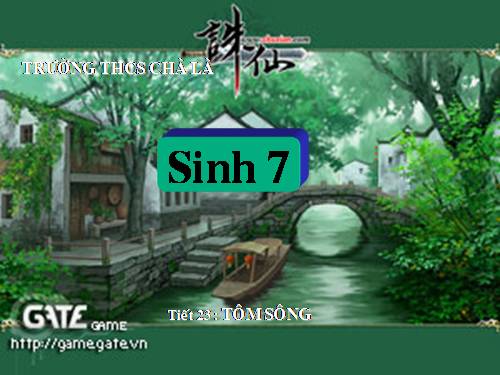 Bài 22. Tôm sông