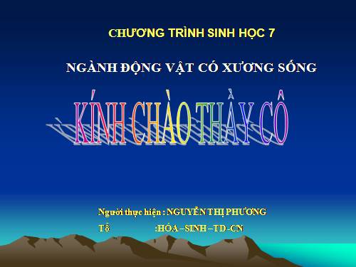 Bài 41. Chim bồ câu