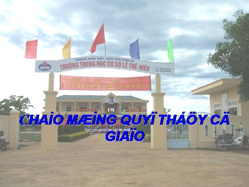 Bài 17. Một số giun đốt khác và đặc điểm chung của ngành Giun đốt