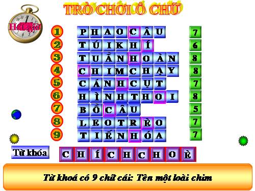 Ô chữ bài chim bồ câu hoặc đố vui sinh học
