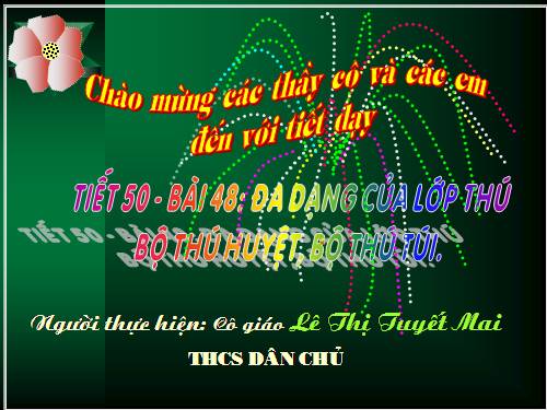 Bài 48. Đa dạng của lớp Thú: Bộ Thú huyệt, bộ Thú túi