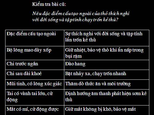 Bài 47. Cấu tạo trong của thỏ