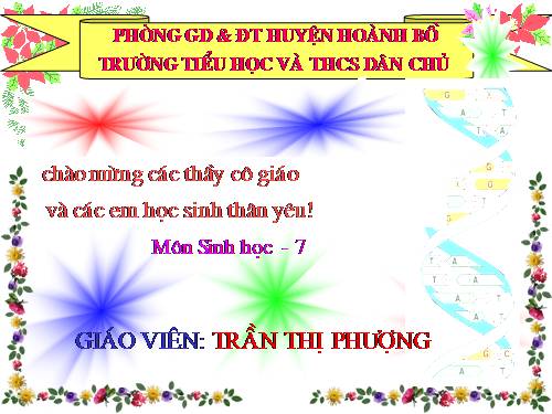 Bài 53. Môi trường sống và sự vận động, di chuyển