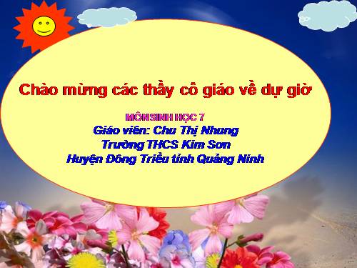 Bài 25. Nhện và sự đa dạng của lớp Hình nhện
