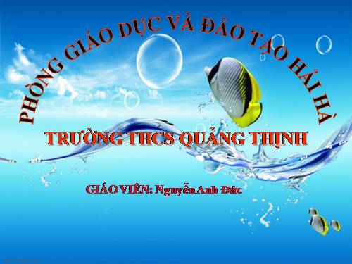 Bài 25. Nhện và sự đa dạng của lớp Hình nhện