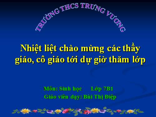 Bài 49. Đa dạng của lớp Thú: Bộ Dơi và bộ Cá voi