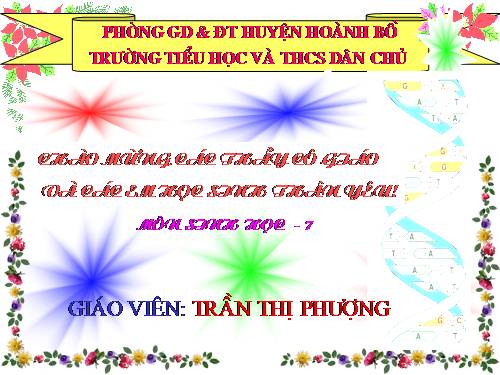 Bài 53. Môi trường sống và sự vận động, di chuyển