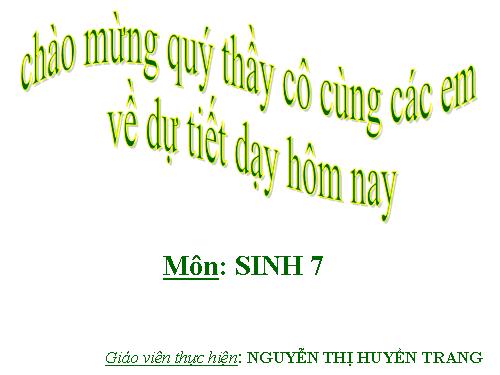 Bài 49. Đa dạng của lớp Thú: Bộ Dơi và bộ Cá voi