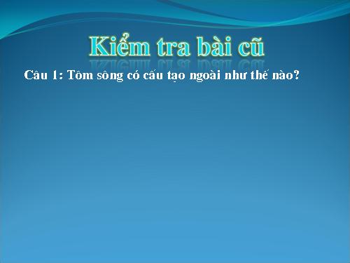 Bài 24. Đa dạng và vai trò của lớp Giáp xác