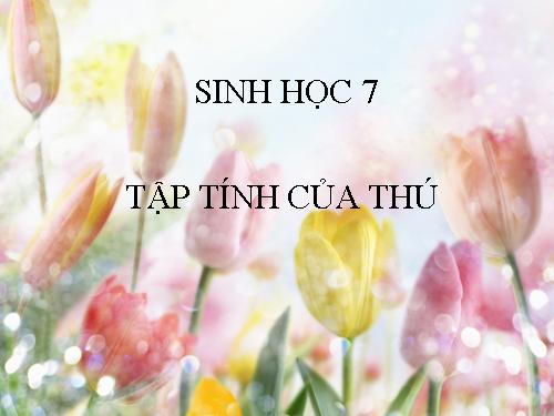 Bài 52. Thực hành: Xem băng hình về đời sống và tập tính của Thú