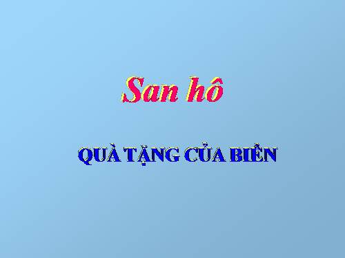 San hô