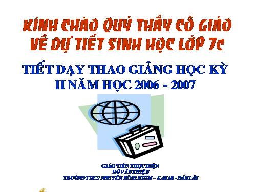 Bài 56. Cây phát sinh giới Động vật