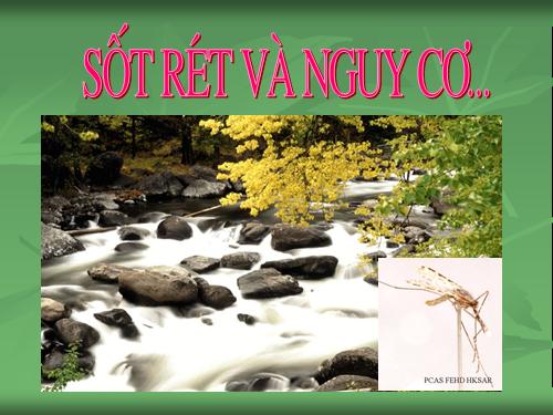 Bệnh sốt rét
