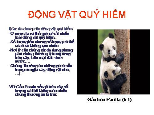 Bài 60. Động vật quý hiếm