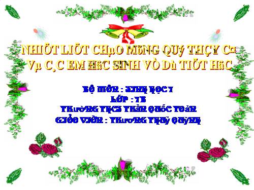 Bài 44. Đa dạng và đặc điểm chung của lớp Chim