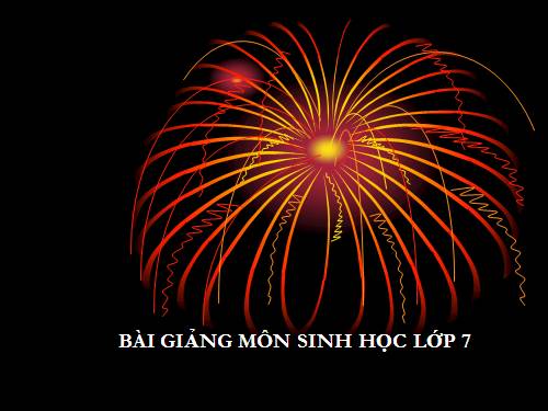 Bài 53. Môi trường sống và sự vận động, di chuyển