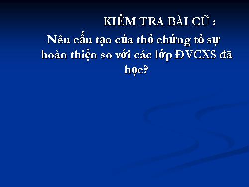 Bài 48. Đa dạng của lớp Thú: Bộ Thú huyệt, bộ Thú túi