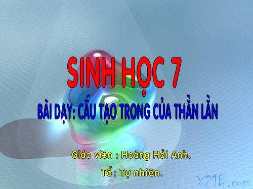 Bài 39. Cấu tạo trong của thằn lằn