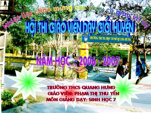 Bài 43. Cấu tạo trong của chim bồ câu