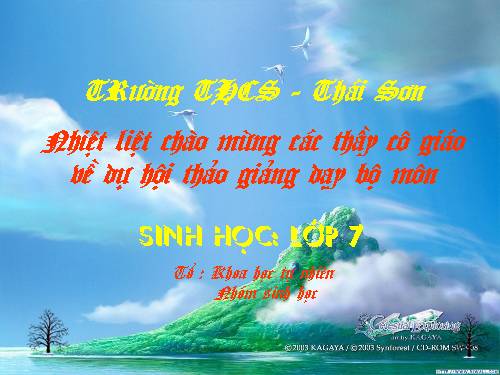 Bài 22. Tôm sông