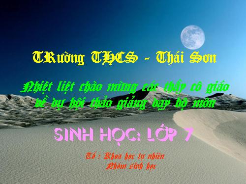 Bài 27. Đa dạng và đặc điểm chung của lớp Sâu bọ