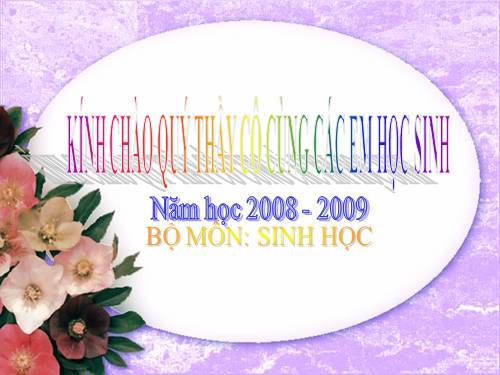 Bài 49. Đa dạng của lớp Thú: Bộ Dơi và bộ Cá voi