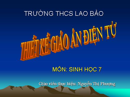 Bài 41. Chim bồ câu