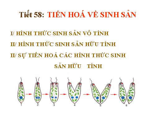 Bài 55. Tiến hoá về sinh sản