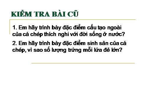 Bài 33. Cấu tạo trong của cá chép