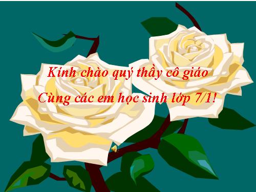 Bài 25. Nhện và sự đa dạng của lớp Hình nhện
