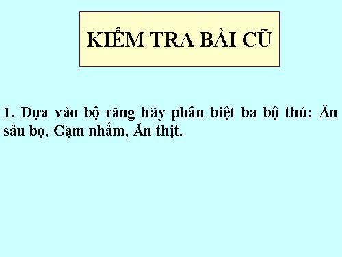 Bài 51. Đa dạng của lớp Thú: Các bộ Móng guốc và bộ Linh trưởng