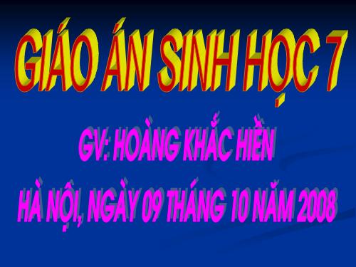 Bài 13. Giun đũa