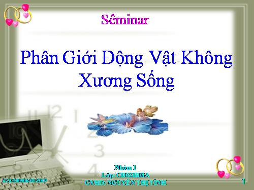 Bài 30. Ôn tập phần I - Động vật không xương sống