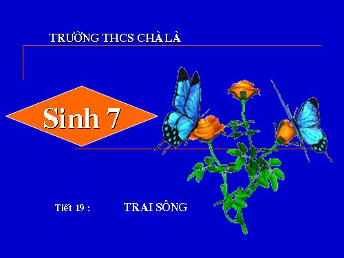 Bài 18. Trai sông