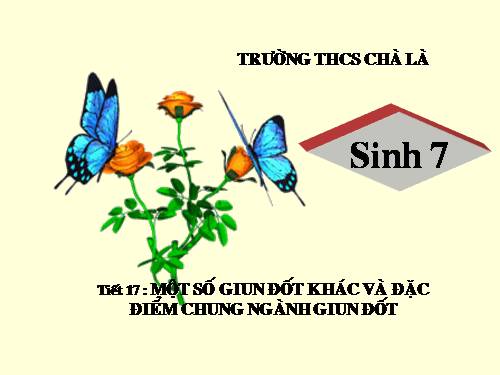 Bài 17. Một số giun đốt khác và đặc điểm chung của ngành Giun đốt