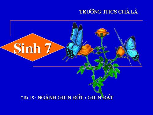 Bài 15. Giun đất