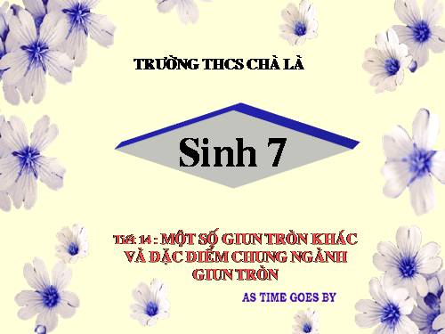 Bài 14. Một số giun tròn khác và đặc điểm chung của ngành Giun tròn