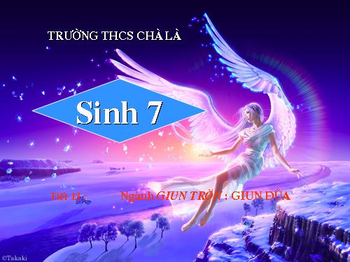 Bài 13. Giun đũa