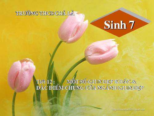 Bài 12. Một số giun dẹp khác và đặc điểm chung của ngành Giun dẹp