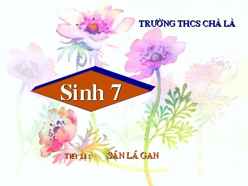 Bài 11. Sán lá gan