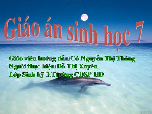 Bài 51. Đa dạng của lớp Thú: Các bộ Móng guốc và bộ Linh trưởng