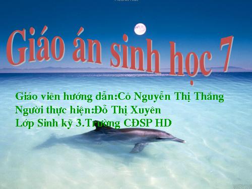 Bài 51. Đa dạng của lớp Thú: Các bộ Móng guốc và bộ Linh trưởng