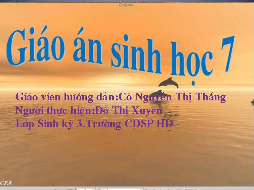 Bài 50. Đa dạng của lớp Thú: Bộ Ăn sâu bọ, bộ Gặm nhấm, bộ Ăn thịt