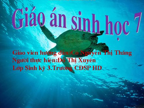 Bài 7. Đặc điểm chung và vai trò thực tiễn của Động vật nguyên sinh